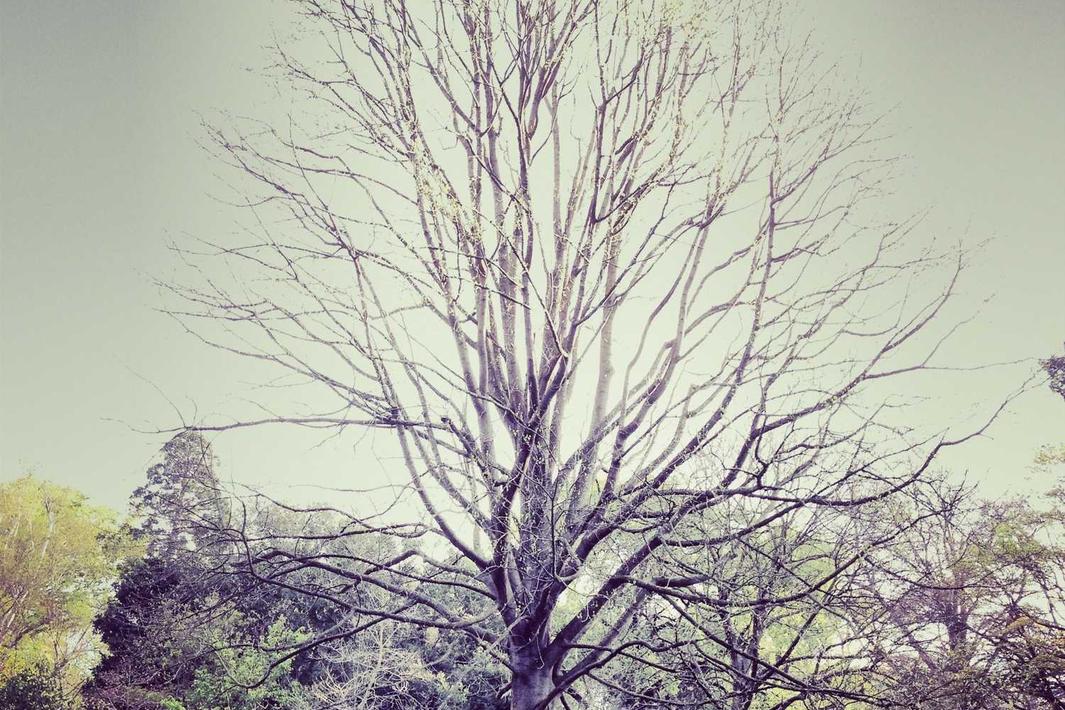 Porro dignissimos quia consectetur voluptatem vel